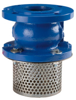 Voetklep DN200 Flens Zonder Korf